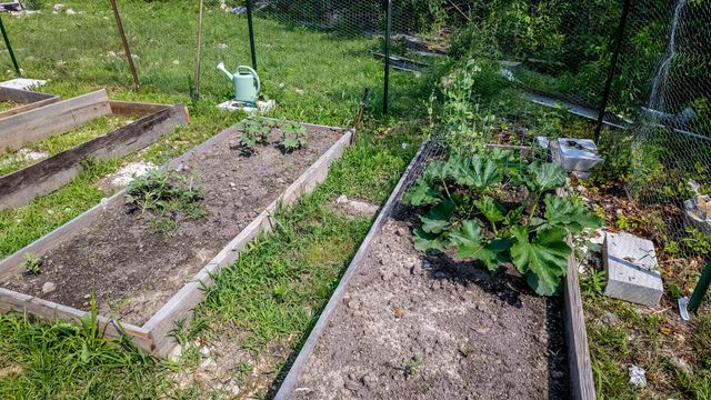 10254 Stella Way, Birch Tree, MO 65438