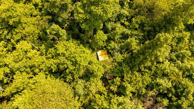 10254 Stella Way, Birch Tree, MO 65438