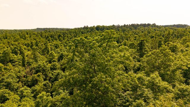 10254 Stella Way, Birch Tree, MO 65438