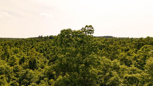 10254 Stella Way, Birch Tree, MO 65438