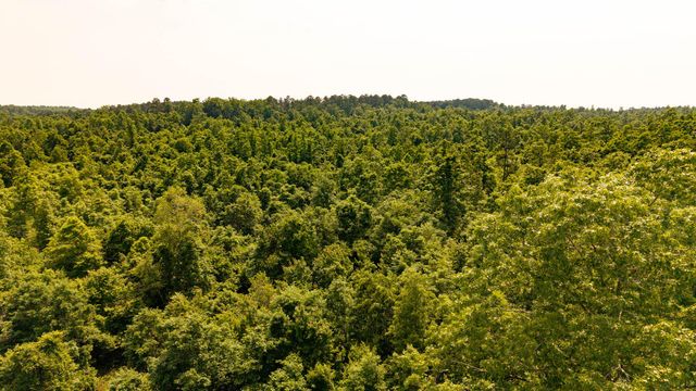 10254 Stella Way, Birch Tree, MO 65438