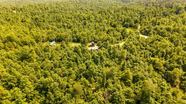 10254 Stella Way, Birch Tree, MO 65438