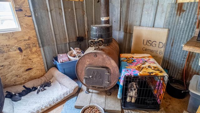 10254 Stella Way, Birch Tree, MO 65438