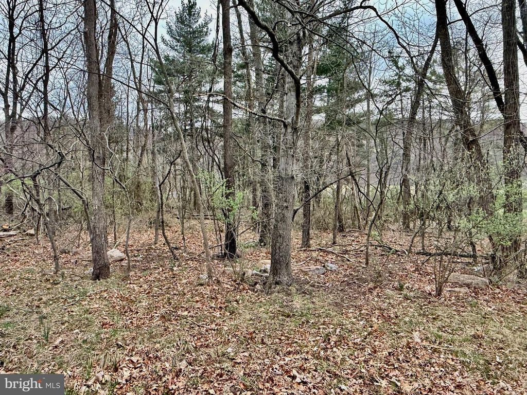 TIMBERLAKE ESTATES - LOT 2, New Creek, WV 26743
