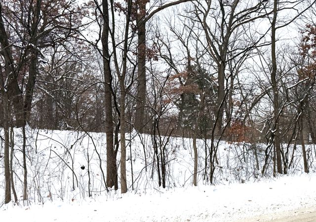 381 Totem Road, Saint Paul, MN 55119