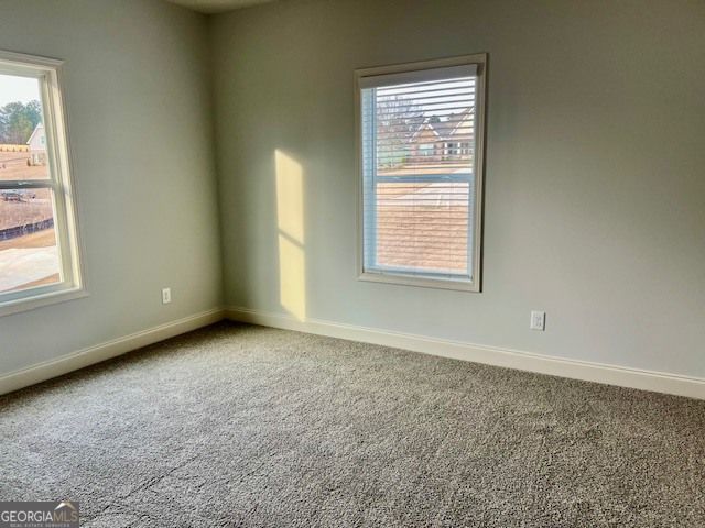 204 Trellis Walk, Macon, GA 31220