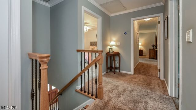 23 Erli St, Wayne Twp., NJ 07470