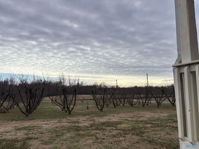 6080 County Road 39, Fackler, AL 35746