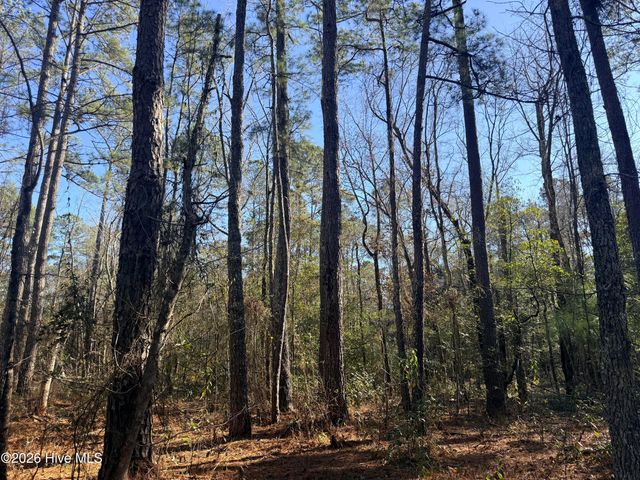 Lot 3 Peach Court, Burgaw, NC 28425