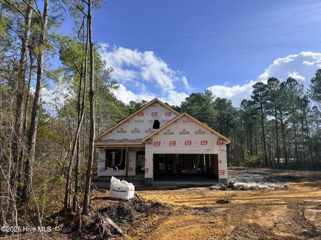 Lot 3 Peach Court, Burgaw, NC 28425