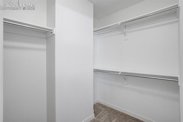 1571 Promontory Bluff View, Colorado Springs, CO 80921