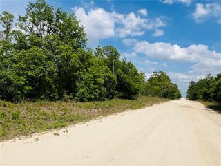 0000 NE 132 TERRACE TERRACE, Williston, FL 32696