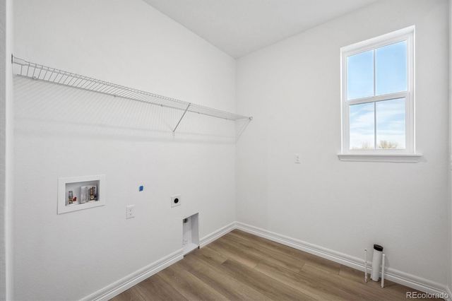 1186 Weller Street, Timnath, CO 80547