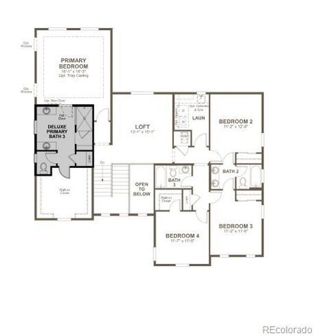 1186 Weller Street, Timnath, CO 80547