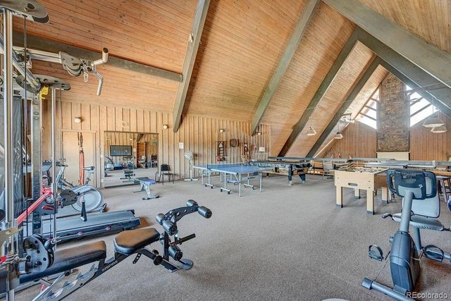 10795 County Road 197a 19, Nathrop, CO 81236