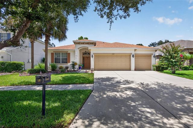 15601 STARLING WATER DRIVE, Lithia, FL 33547