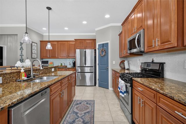 15601 STARLING WATER DRIVE, Lithia, FL 33547