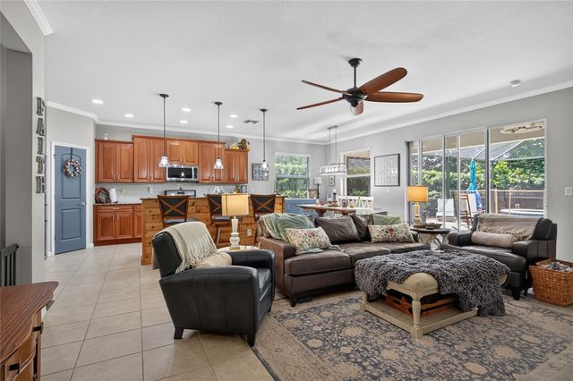 15601 STARLING WATER DRIVE, Lithia, FL 33547