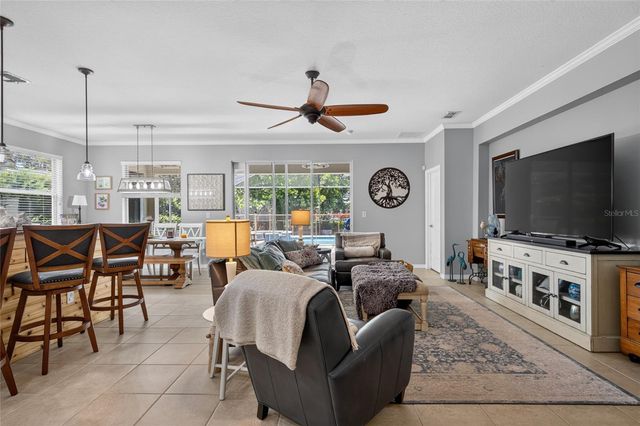 15601 STARLING WATER DRIVE, Lithia, FL 33547