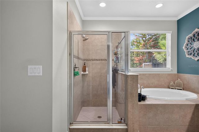 15601 STARLING WATER DRIVE, Lithia, FL 33547