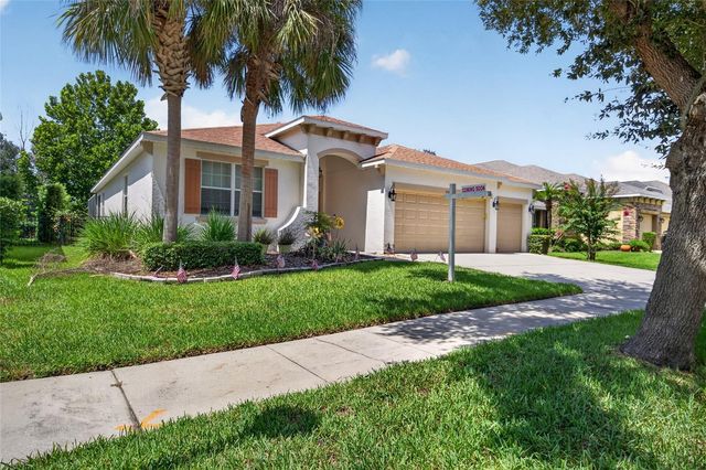 15601 STARLING WATER DRIVE, Lithia, FL 33547