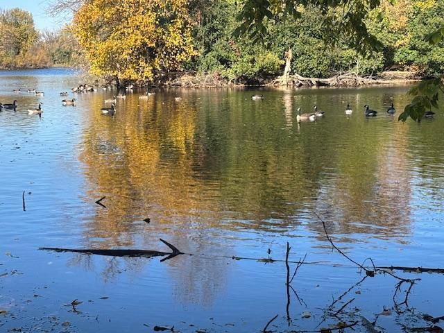 6618 Park Avenue, Richfield, MN 55423