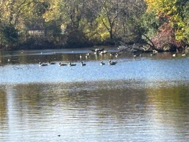 6618 Park Avenue, Richfield, MN 55423