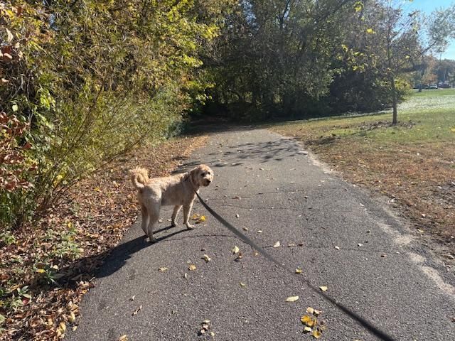 6618 Park Avenue, Richfield, MN 55423