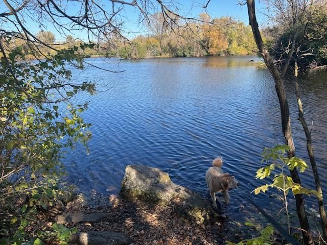 6618 Park Avenue, Richfield, MN 55423