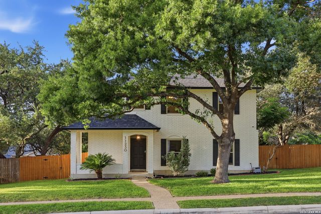 11230 Woodridge Frst, San Antonio, TX 78249