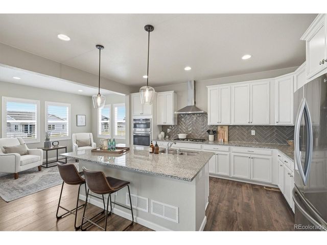 5667 Saddle Skirt St, Parker, CO 80134