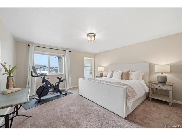 5667 Saddle Skirt St, Parker, CO 80134