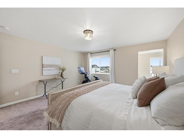 5667 Saddle Skirt St, Parker, CO 80134