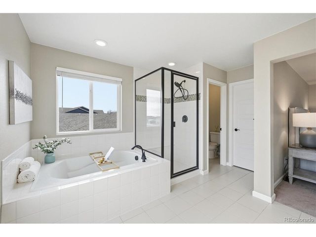 5667 Saddle Skirt St, Parker, CO 80134