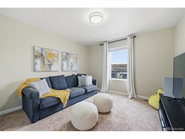 5667 Saddle Skirt St, Parker, CO 80134