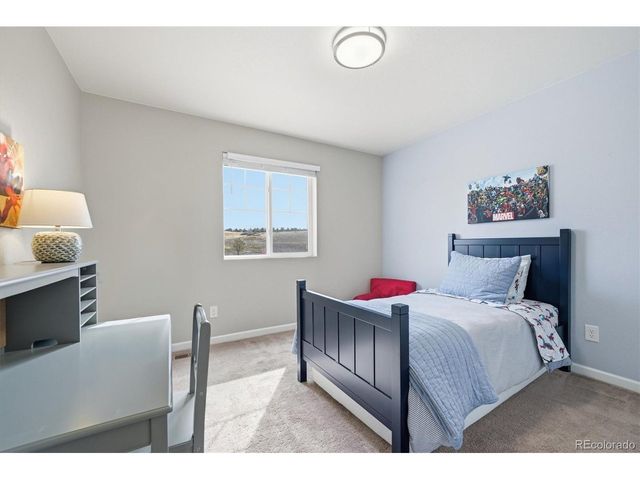 5667 Saddle Skirt St, Parker, CO 80134