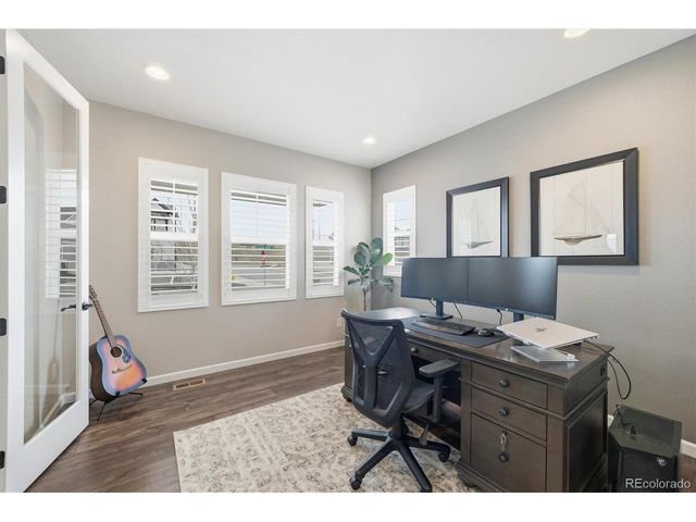 5667 Saddle Skirt St, Parker, CO 80134