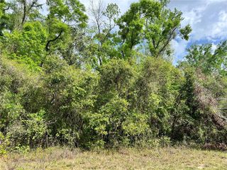0 NE 349, Old Town, FL 32680