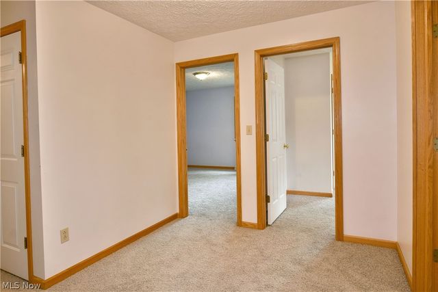 750 Blueberry Hill Drive, Canfield, OH 44406