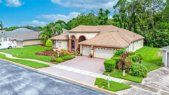 11421 STRATHAVEN COURT, Trinity, FL 34655