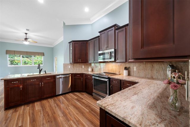 11421 STRATHAVEN COURT, Trinity, FL 34655