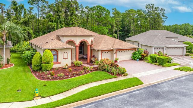 11421 STRATHAVEN COURT, Trinity, FL 34655