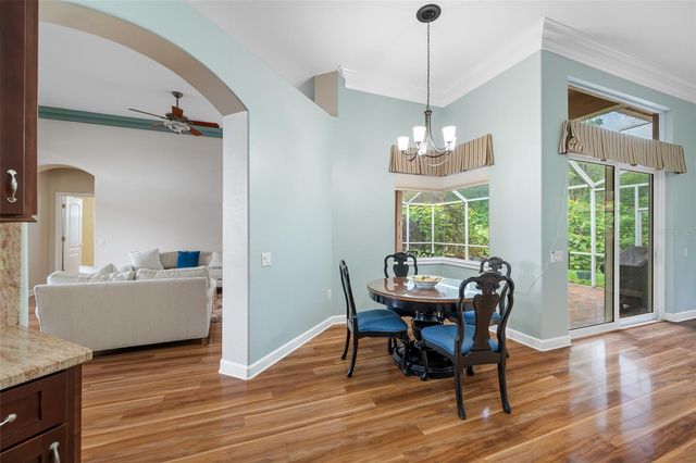 11421 STRATHAVEN COURT, Trinity, FL 34655