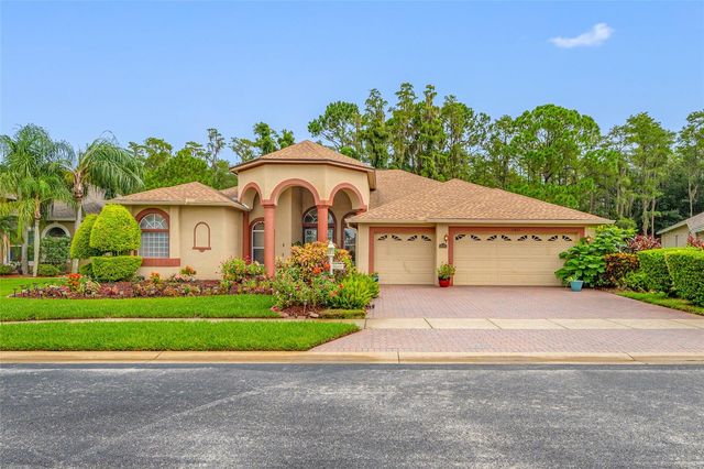 11421 STRATHAVEN COURT, Trinity, FL 34655