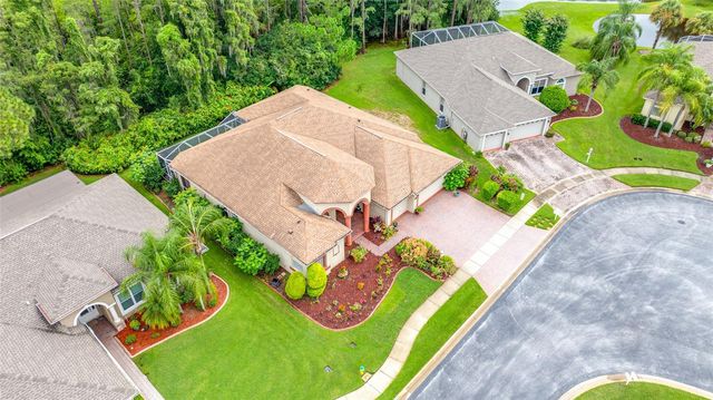 11421 STRATHAVEN COURT, Trinity, FL 34655