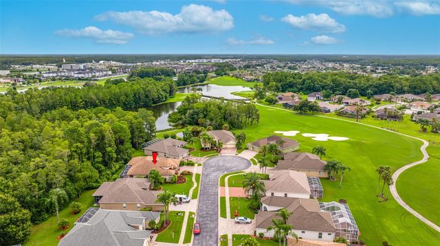 11421 STRATHAVEN COURT, Trinity, FL 34655