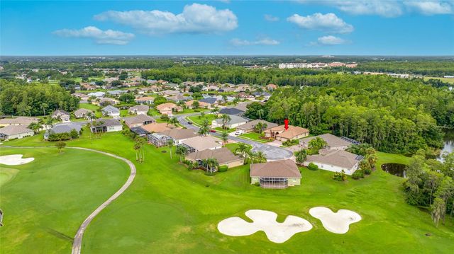11421 STRATHAVEN COURT, Trinity, FL 34655