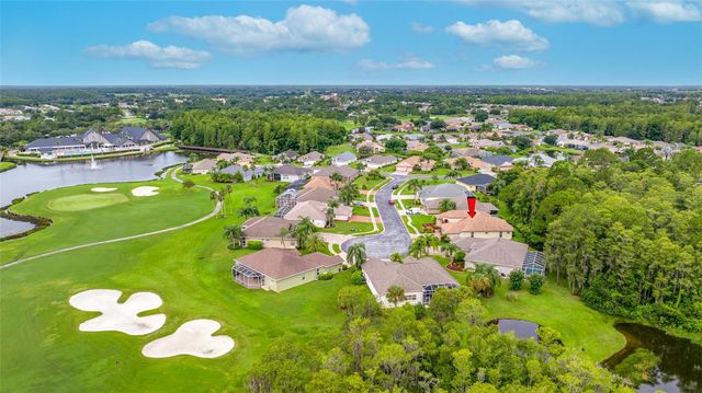 11421 STRATHAVEN COURT, Trinity, FL 34655