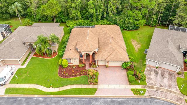 11421 STRATHAVEN COURT, Trinity, FL 34655