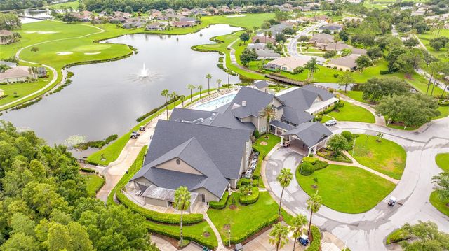 11421 STRATHAVEN COURT, Trinity, FL 34655